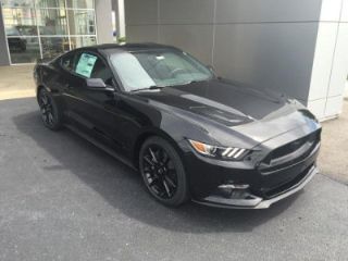 Used 2016 Ford Mustang GT in Sparta, Illinois