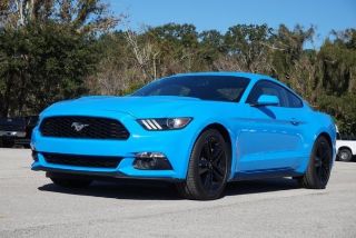Used 2017 Ford Mustang in Orlando, Florida