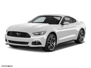 Used 2017 Ford Mustang in Bronx, New York