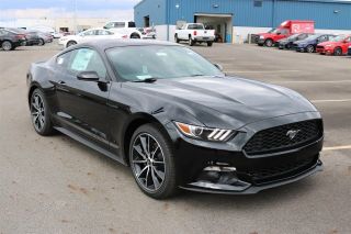 Used 2017 Ford Mustang in Columbus, Ohio