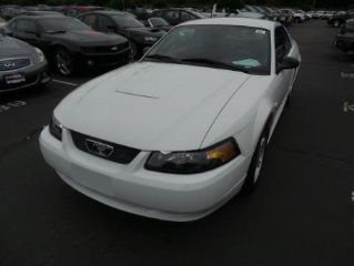 Ford Mustang Standard 2004