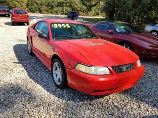 Used 2000 Ford Mustang GT in Florence, South Carolina