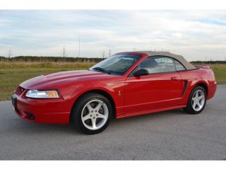 Used 1999 Ford Mustang Cobra in Orlando, Florida