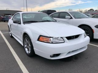 Used 1999 Ford Mustang Cobra in Warner Robins, Georgia