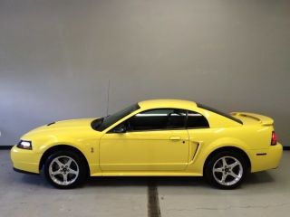Used 2001 Ford Mustang Cobra in Layton, Utah