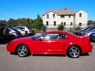 Used 1999 Ford Mustang Cobra in Boardman, Ohio