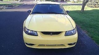 Used 2001 Ford Mustang Cobra in Philadelphia, Mississippi