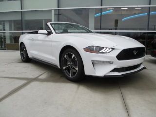 Used 2018 Ford Mustang in Birch Run, Michigan