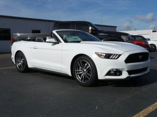 Used 2016 Ford Mustang in Sarasota, Florida