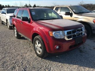 Used 2011 Ford Escape XLT in Jefferson City, Missouri