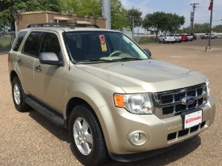 Used 2010 Ford Escape XLT in Harlingen, Texas
