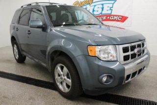 Used 2010 Ford Escape Limited in Fenton, Michigan