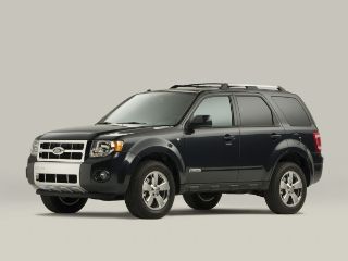 Used 2011 Ford Escape XLT in Arlington Heights, Illinois