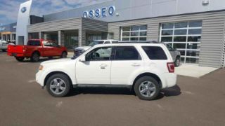 Used 2010 Ford Escape Limited in Osseo, Wisconsin