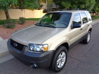 Used 2007 Ford Escape XLT in Phoenix, Arizona