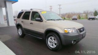 Used 2007 Ford Escape XLT in Bluffton, Indiana