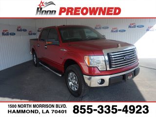 Used 2010 Ford F-150 XLT in Hammond, Louisiana