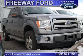 Used 2013 Ford F-150 XLT in Denver, Colorado