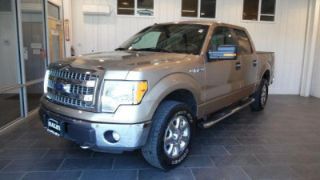 Used 2013 Ford F-150 XLT in Farmville, Virginia