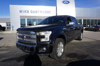 Used 2015 Ford F-150 in Milford, Ohio