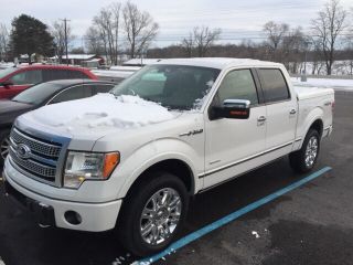 Used 2011 Ford F-150 Platinum in Salem, Indiana