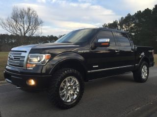 Used 2013 Ford F-150 Platinum in Laurel, Mississippi