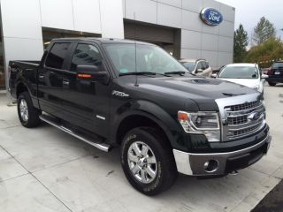 Used 2014 Ford F-150 XLT in Forest Grove, Oregon