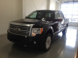 Used 2010 Ford F-150 Platinum in Malden, Missouri