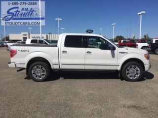 Used 2010 Ford F-150 Platinum in Jamestown, North Dakota