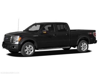Used 2010 Ford F-150 Platinum in Idaho Falls, Idaho