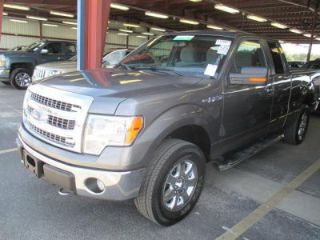 Used 2013 Ford F-150 XLT in Winter Garden, Florida