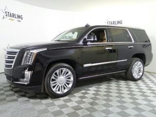 Used 2016 Cadillac Escalade in Deland, Florida