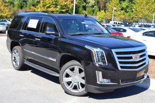 Used 2016 Cadillac Escalade in Cary, North Carolina