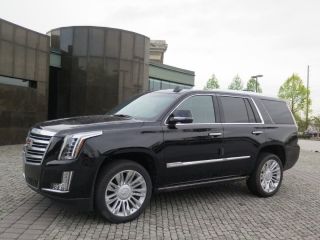 Used 2016 Cadillac Escalade in Duluth, Georgia