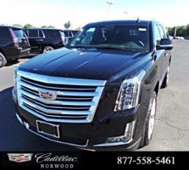 Used 2015 Cadillac Escalade in Norwood, Massachusetts