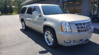 Used 2010 Cadillac Escalade ESV in Rock Hill, South Carolina
