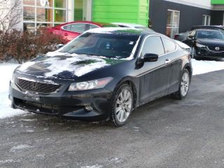Used 2008 Honda Accord EXL in Schaumburg, Illinois