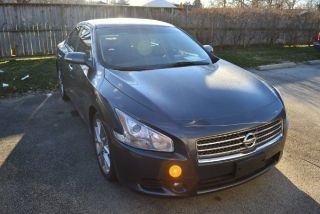 Used 2010 Nissan Maxima SV in Louisville, Kentucky