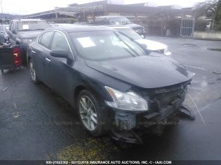 Used 2014 Nissan Maxima S in Seattle, Washington