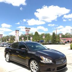 Used 2010 Nissan Maxima S in Tampa, Florida