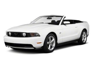 Used 2010 Ford Mustang in Tampa, Florida