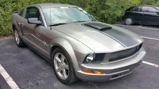 Used 2009 Ford Mustang in Kansas City, Missouri