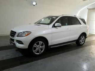 Used 2015 Mercedes-Benz M-Class ML 250 in Nashville, Tennessee
