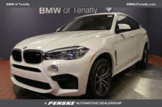Used 2015 BMW X6 M in Tenafly, New Jersey