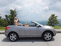 Used 2011 Nissan Murano CrossCabriolet in Asheville, North Carolina